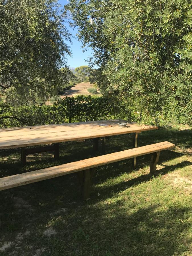 סן-סיר-סור-מר Guesthouse Du Moulin מראה חיצוני תמונה